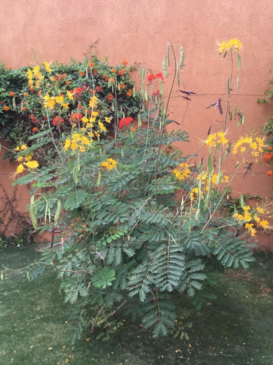 Terra Lodge Senegal M'Bour Bagian luar foto