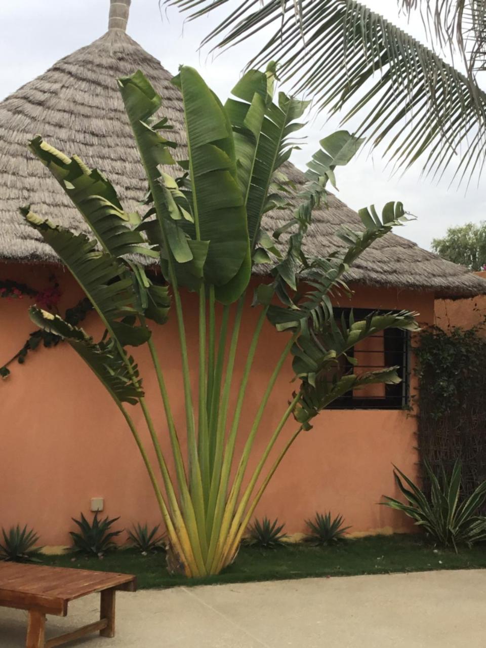 Terra Lodge Senegal M'Bour Bagian luar foto