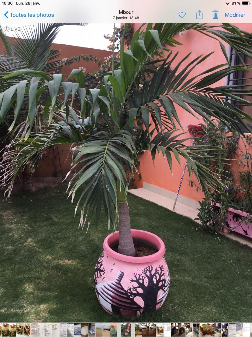 Terra Lodge Senegal M'Bour Bagian luar foto