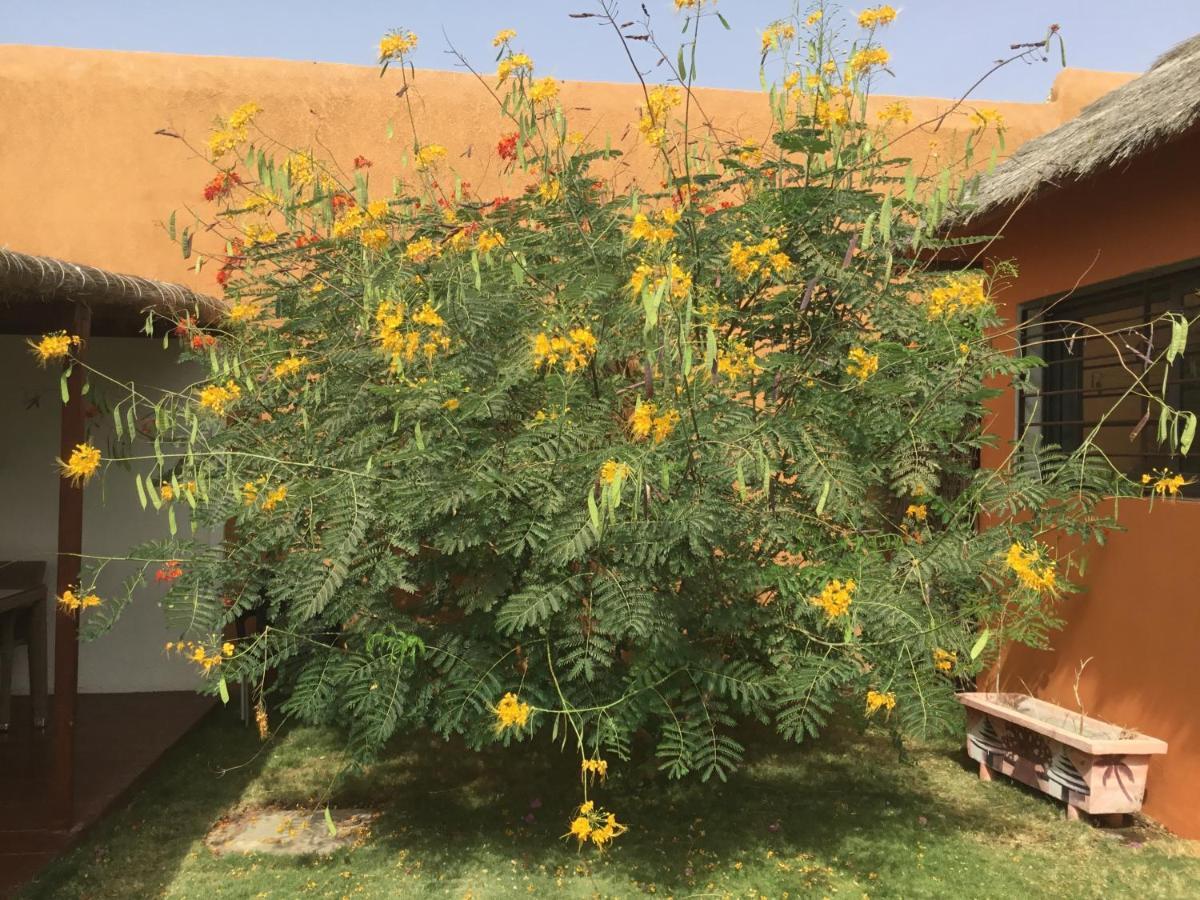 Terra Lodge Senegal M'Bour Bagian luar foto